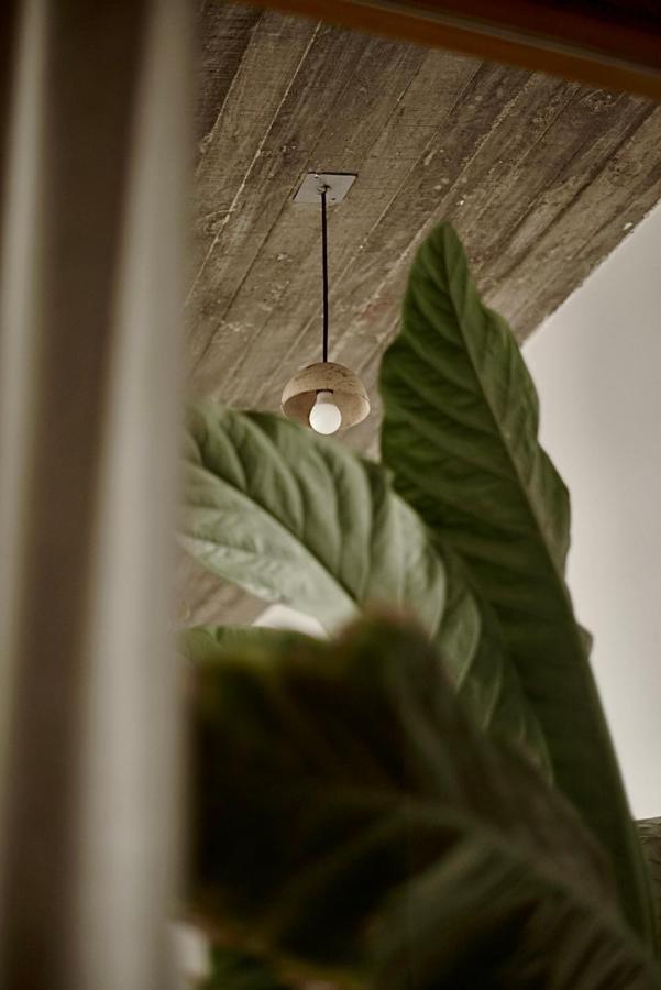 Casa Carmen Morelos オアハカ州 エクステリア 写真