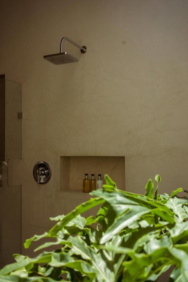 Casa Carmen Morelos オアハカ州 エクステリア 写真